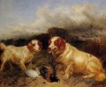 Jagd Hunde und Mallard